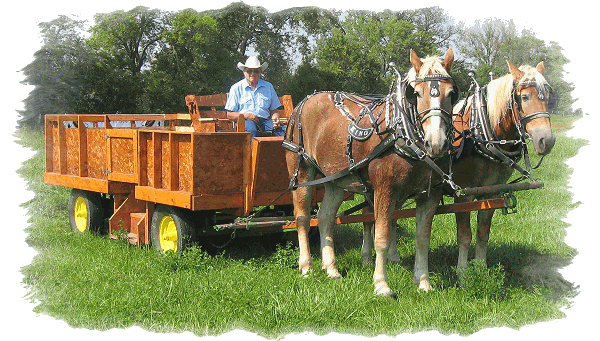 Wagon